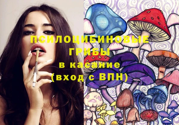 ПСИЛОЦИБИНОВЫЕ ГРИБЫ Аркадак