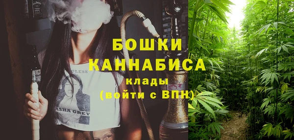 ПСИЛОЦИБИНОВЫЕ ГРИБЫ Аркадак