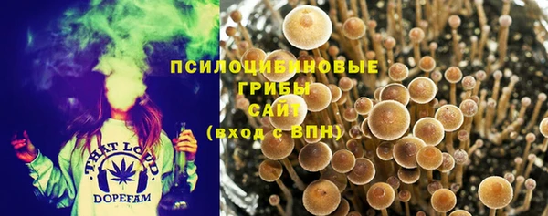 дживик Армянск