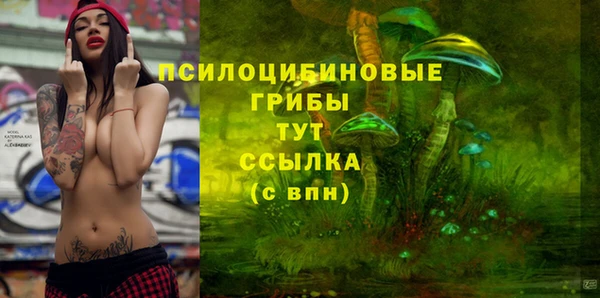 дживик Армянск