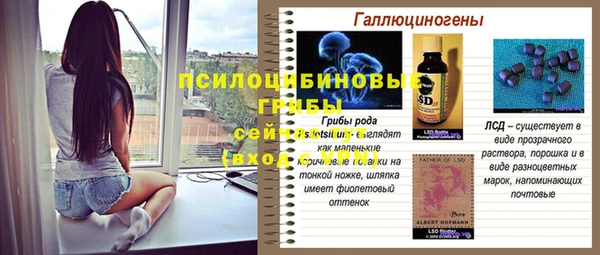 ПСИЛОЦИБИНОВЫЕ ГРИБЫ Аркадак